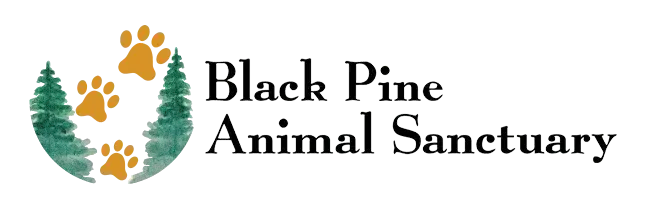 Black Pine Animal Sanctuary Sponsor